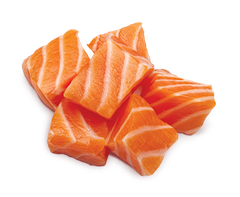 Acana Prairie Poultry